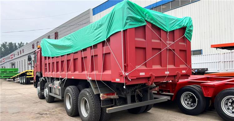 Howo 371hp 8x4 Dump Truck and Truck Tractor for Sale in Zimbabwe