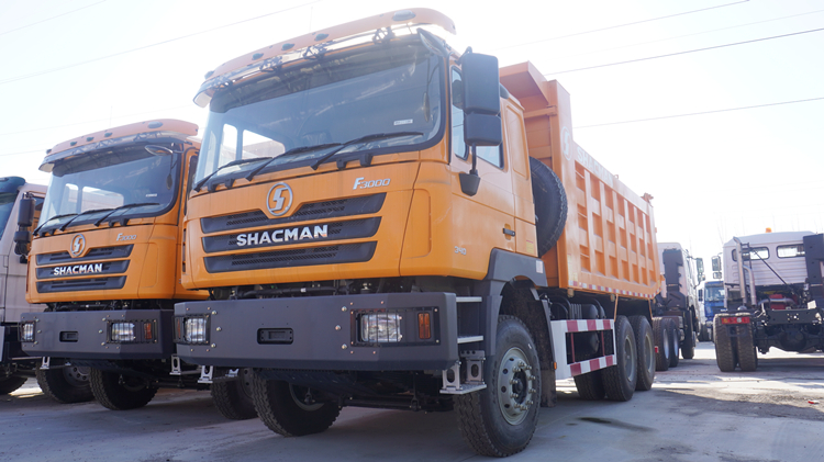 Shacman F3000 10 Wheel 6x4 Dump Truck For Sale Price in Philippines