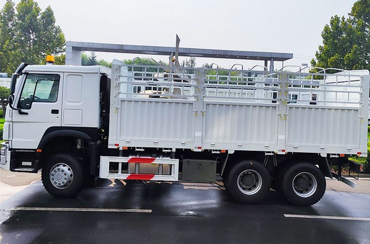 6x4 10 Wheeler 2nd Hand Howo Stake Truck for Sale Price