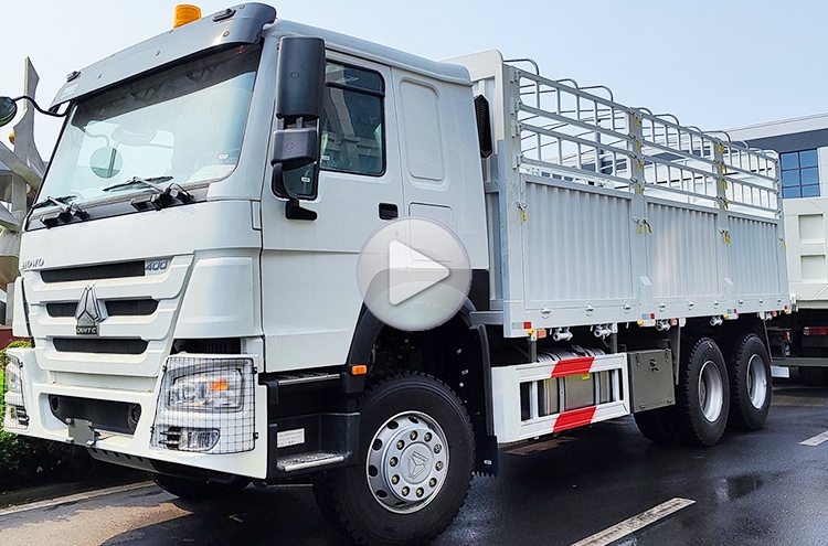 6x4 10 Wheeler 2nd Hand Howo Stake Truck for Sale Price