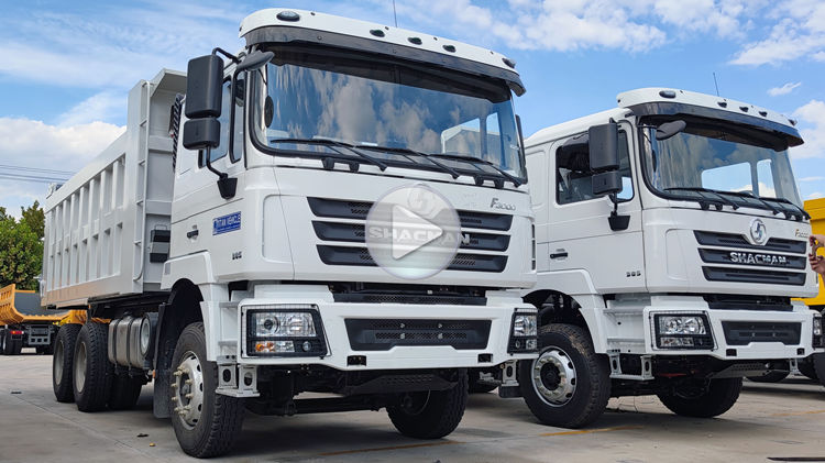 Shacman 6x4 Dump Truck Price for Sale In Tanzania