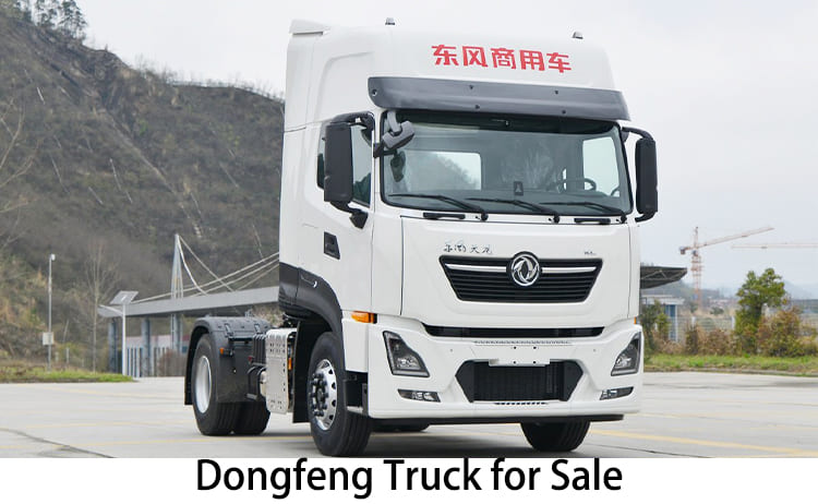 Dongfeng 4x2 Truck Price for Sale in Congo