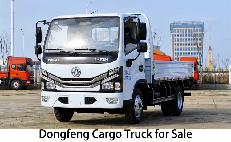 Dongfeng Cargo Truck for Sale in Tanzania