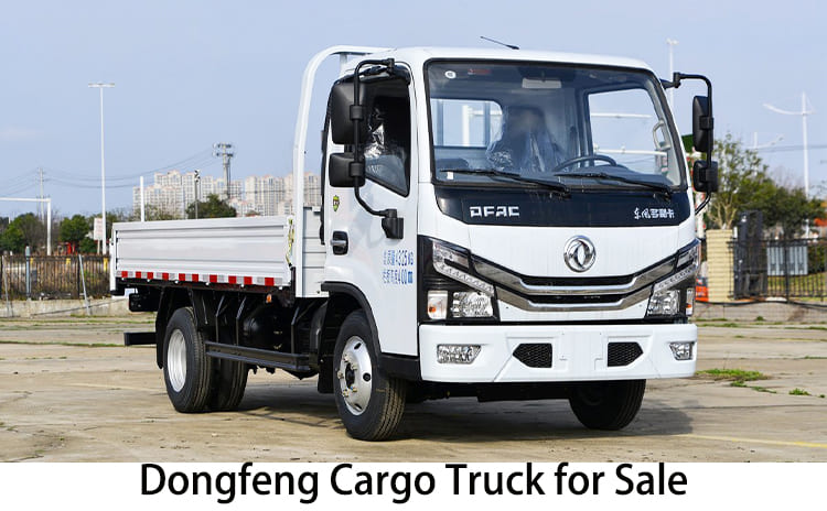 Dongfeng Cargo Truck for Sale in Tanzania